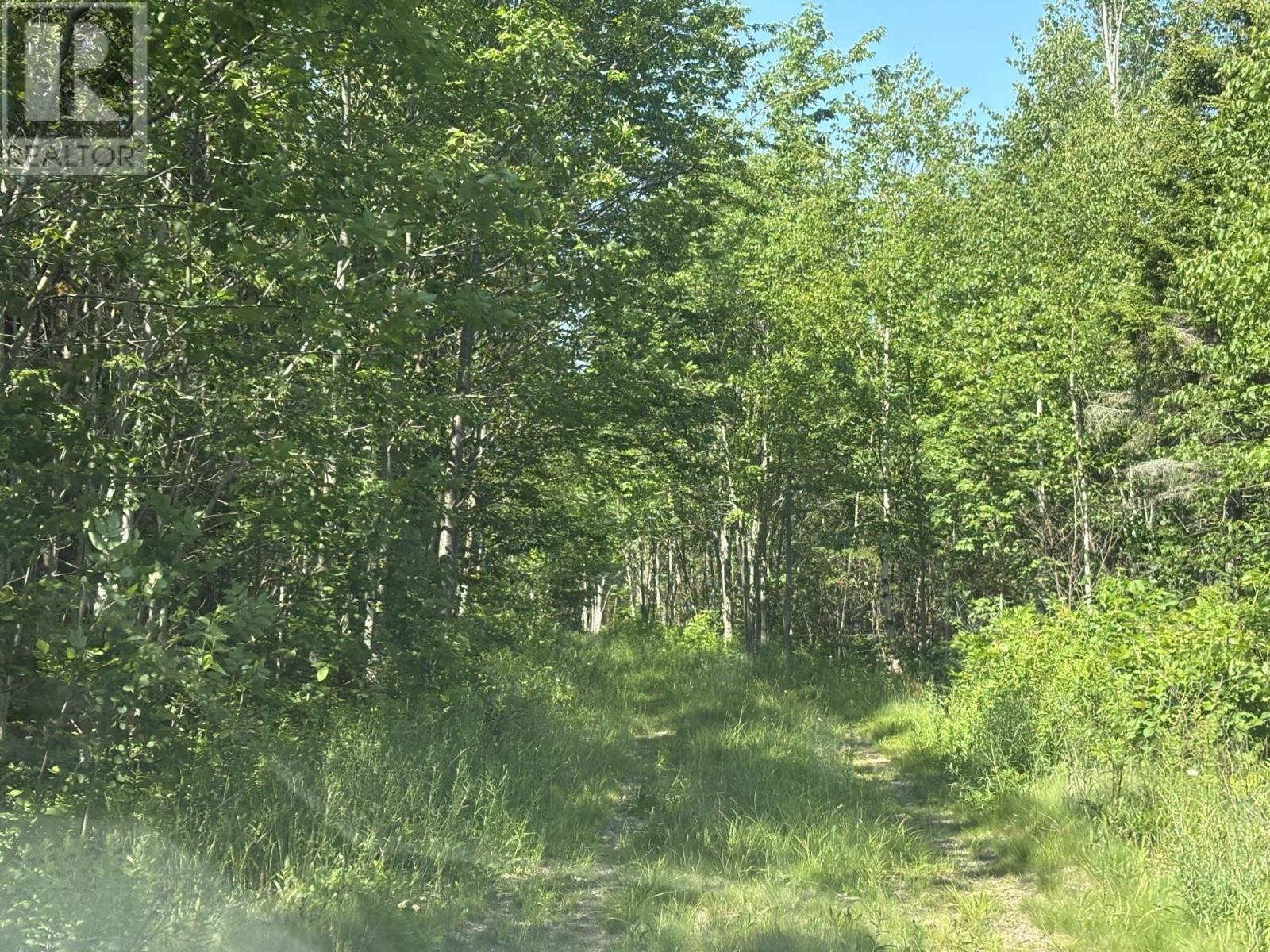 Property 17 of 34 of Lot 9 Longley Mountain Road