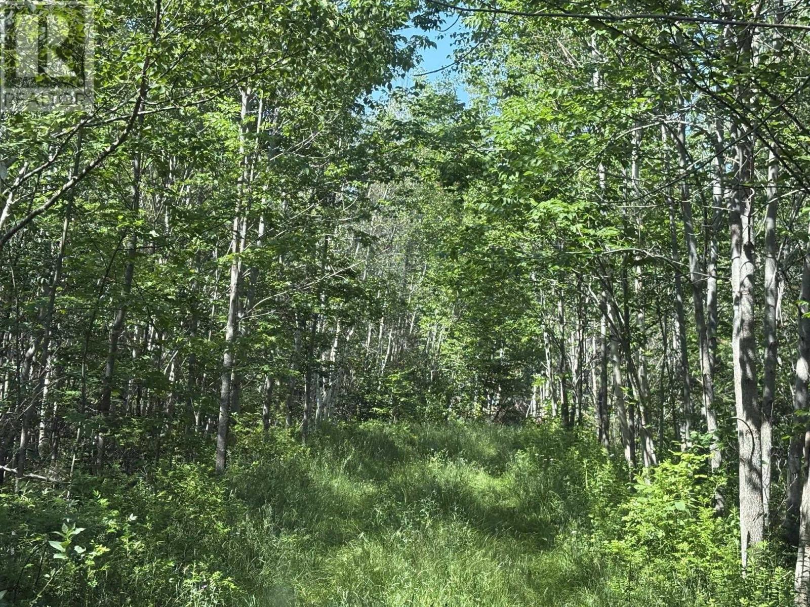 Property 18 of 34 of Lot 9 Longley Mountain Road