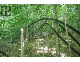 Lot 6 Hilton Rd, Jocelyn Township, ON P0R1G0 Photo 29