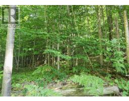 Lot 6 Hilton Rd, Jocelyn Township, ON P0R1G0 Photo 30