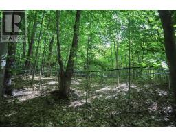 Lot 6 Hilton Rd, Jocelyn Township, ON P0R1G0 Photo 31