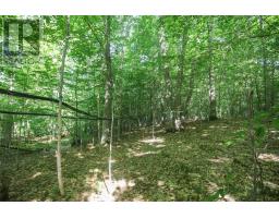 Lot 6 Hilton Rd, Jocelyn Township, ON P0R1G0 Photo 32