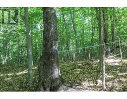 Lot 6 Hilton Rd, Jocelyn Township, ON P0R1G0 Photo 33