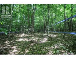 Lot 6 Hilton Rd, Jocelyn Township, ON P0R1G0 Photo 34