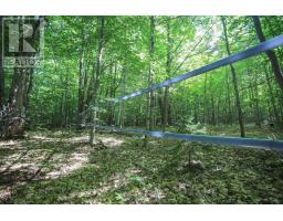 Lot 6 Hilton Rd, Jocelyn Township, ON P0R1G0 Photo 35