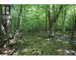 Lot 6 Hilton Rd, Jocelyn Township, ON P0R1G0 Photo 36