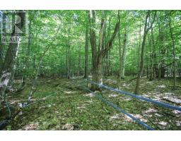 Lot 6 Hilton Rd, Jocelyn Township, ON P0R1G0 Photo 37