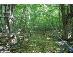 Lot 6 Hilton Rd, Jocelyn Township, ON P0R1G0 Photo 38