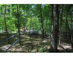 Lot 6 Hilton Rd, Jocelyn Township, ON P0R1G0 Photo 39