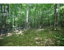 Lot 6 Hilton Rd, Jocelyn Township, ON P0R1G0 Photo 43