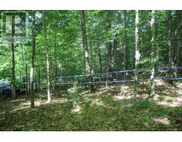Lot 6 Hilton Rd, Jocelyn Township, ON P0R1G0 Photo 44