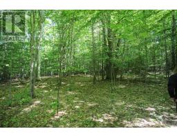 Lot 6 Hilton Rd, Jocelyn Township, ON P0R1G0 Photo 45