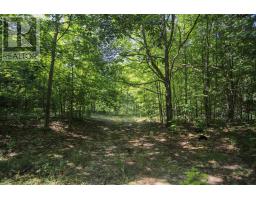 Lot 6 Hilton Rd, Jocelyn Township, ON P0R1G0 Photo 46