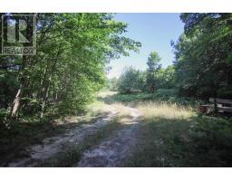 Lot 6 Hilton Rd, Jocelyn Township, ON P0R1G0 Photo 49