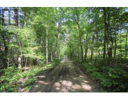 Lot 6 Hilton Rd, Jocelyn Township, ON P0R1G0 Photo 50