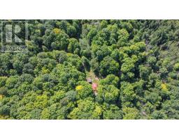 Lot 6 Hilton Rd, Jocelyn Township, ON P0R1G0 Photo 6