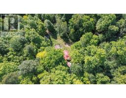 Lot 6 Hilton Rd, Jocelyn Township, ON P0R1G0 Photo 7