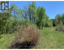 00 Bolton Road, Merrickville Wolford, ON K0G1R0 Photo 10