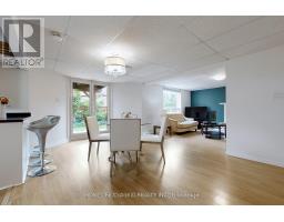 Lower Level - 267 Savage Road, Newmarket, ON L3X1S1 Photo 6