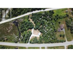 19660 Highway 7, Spry Bay, NS B0J3H0 Photo 20