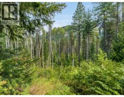 1629 Putter Lane, Castlegar, BC V1N4W7 Photo 7