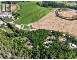 Lot 6 Cambie-solsqua Road, Sicamous, BC V0E2V5 Photo 13