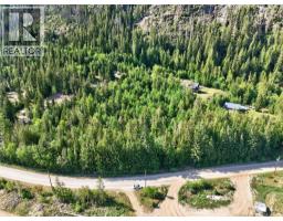 Lot 6 Cambie-solsqua Road, Sicamous, BC V0E2V5 Photo 14