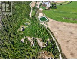 Lot 6 Cambie-solsqua Road, Sicamous, BC V0E2V5 Photo 6