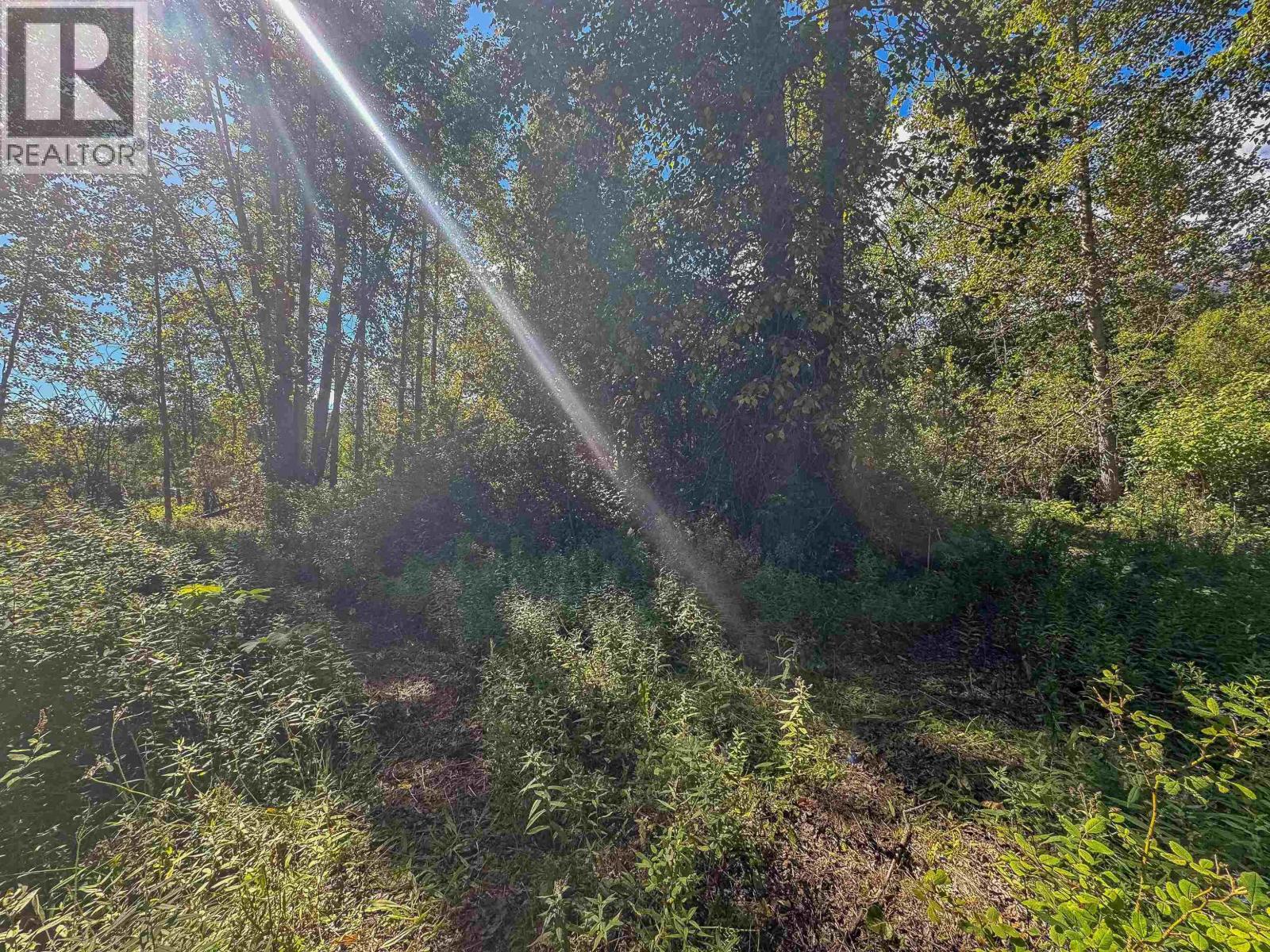 4141 WHALEN ROAD - Image 27