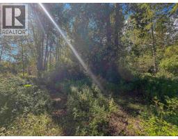 4141 Whalen Road, Smithers, BC V0J2N2 Photo 27