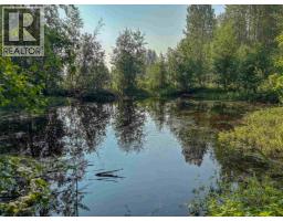 4141 Whalen Road, Smithers, BC V0J2N2 Photo 19