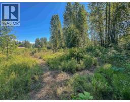 4141 Whalen Road, Smithers, BC V0J2N2 Photo 26