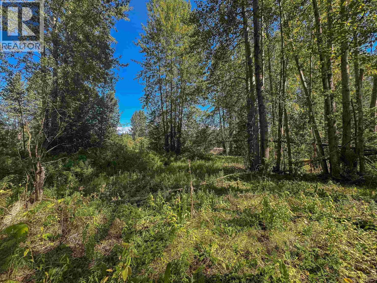 4141 WHALEN ROAD - 29