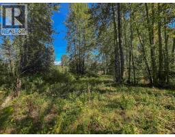 4141 Whalen Road, Smithers, BC V0J2N2 Photo 29