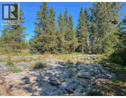 4141 Whalen Road, Smithers, BC V0J2N2 Photo 32