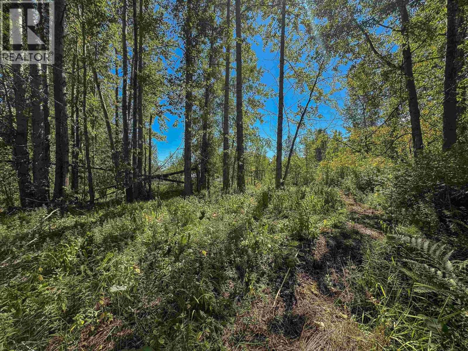 4141 WHALEN ROAD - Image 28