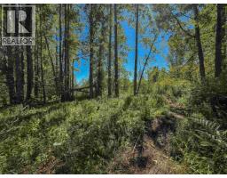 4141 Whalen Road, Smithers, BC V0J2N2 Photo 28