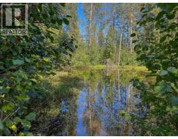 4141 Whalen Road, Smithers, BC V0J2N2 Photo 20
