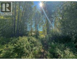 4141 Whalen Road, Smithers, BC V0J2N2 Photo 31