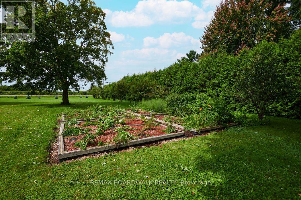 3382 CARP ROAD - Image 34