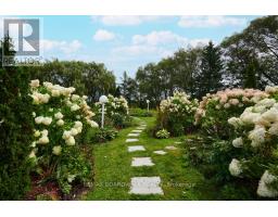 3382 Carp Road, Ottawa, ON K0A1L0 Photo 32