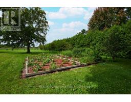 3382 Carp Road, Ottawa, ON K0A1L0 Photo 34