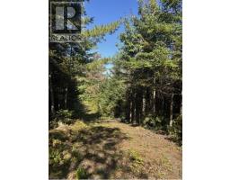 Lot 23 Anderson Drive, Goldenville, NS B0J0B3 Photo 7