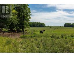 122152 Sideroad 12, Georgian Bluffs, ON N4K5N5 Photo 43