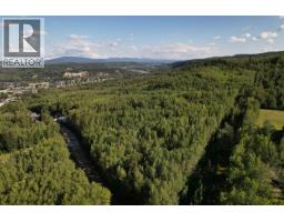 1242 Crane Avenue, Quesnel, BC V2J1J6 Photo 18