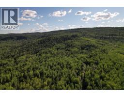 1242 Crane Avenue, Quesnel, BC V2J1J6 Photo 15