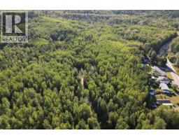 1242 Crane Avenue, Quesnel, BC V2J1J6 Photo 12