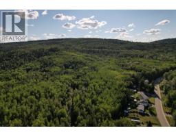1242 Crane Avenue, Quesnel, BC V2J1J6 Photo 14