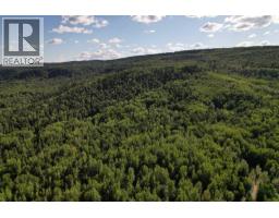 1242 Crane Avenue, Quesnel, BC V2J1J6 Photo 13