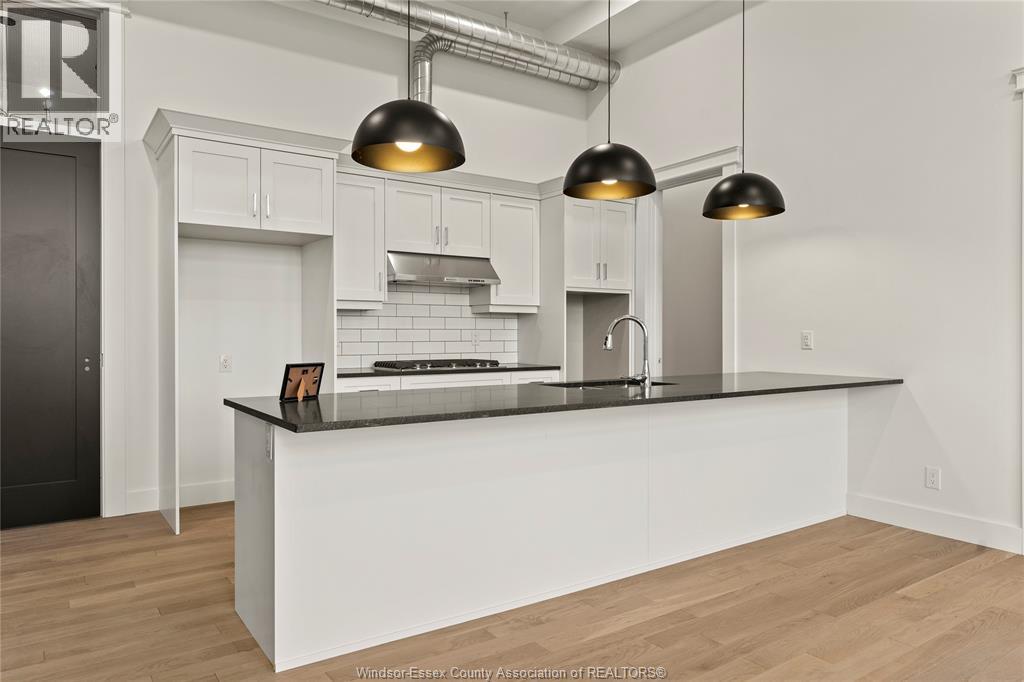 #303 247 BROCK STREET - Image 10